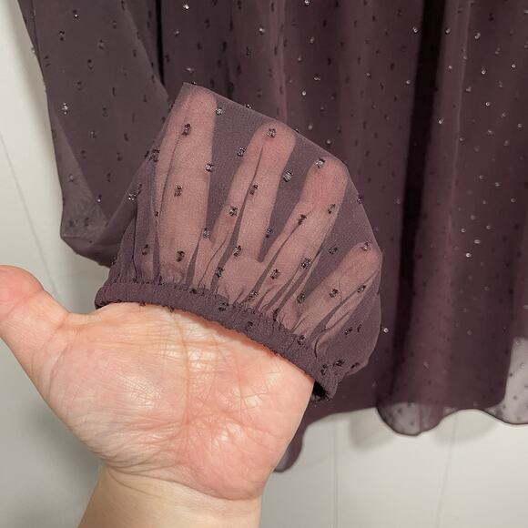 Point Sur J Crew Sheer Popover Glitter Dot Blouse Top Size Medium Purple Lined - Picture 4 of 7